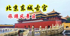 和淑女肛交视频中国北京-东城古宫旅游风景区